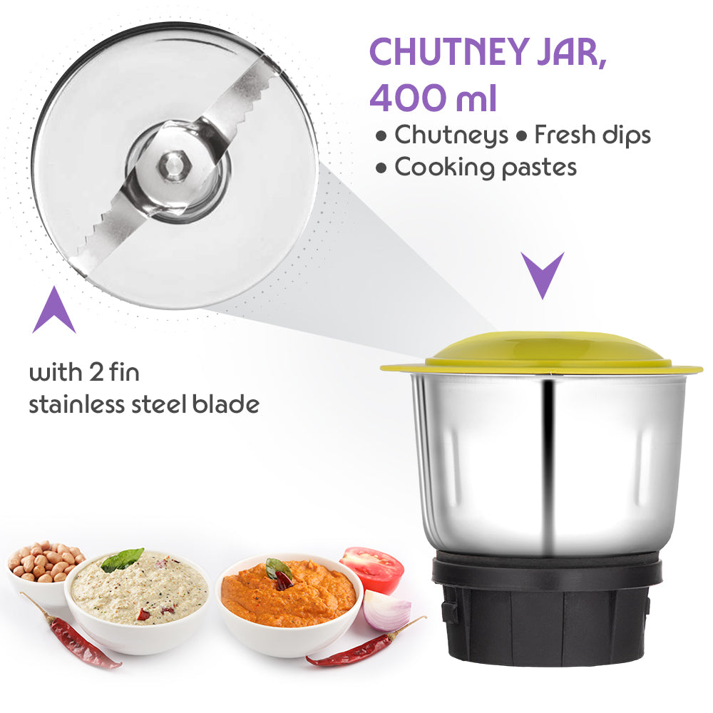 Borosil Max 500W Mixer Grinders