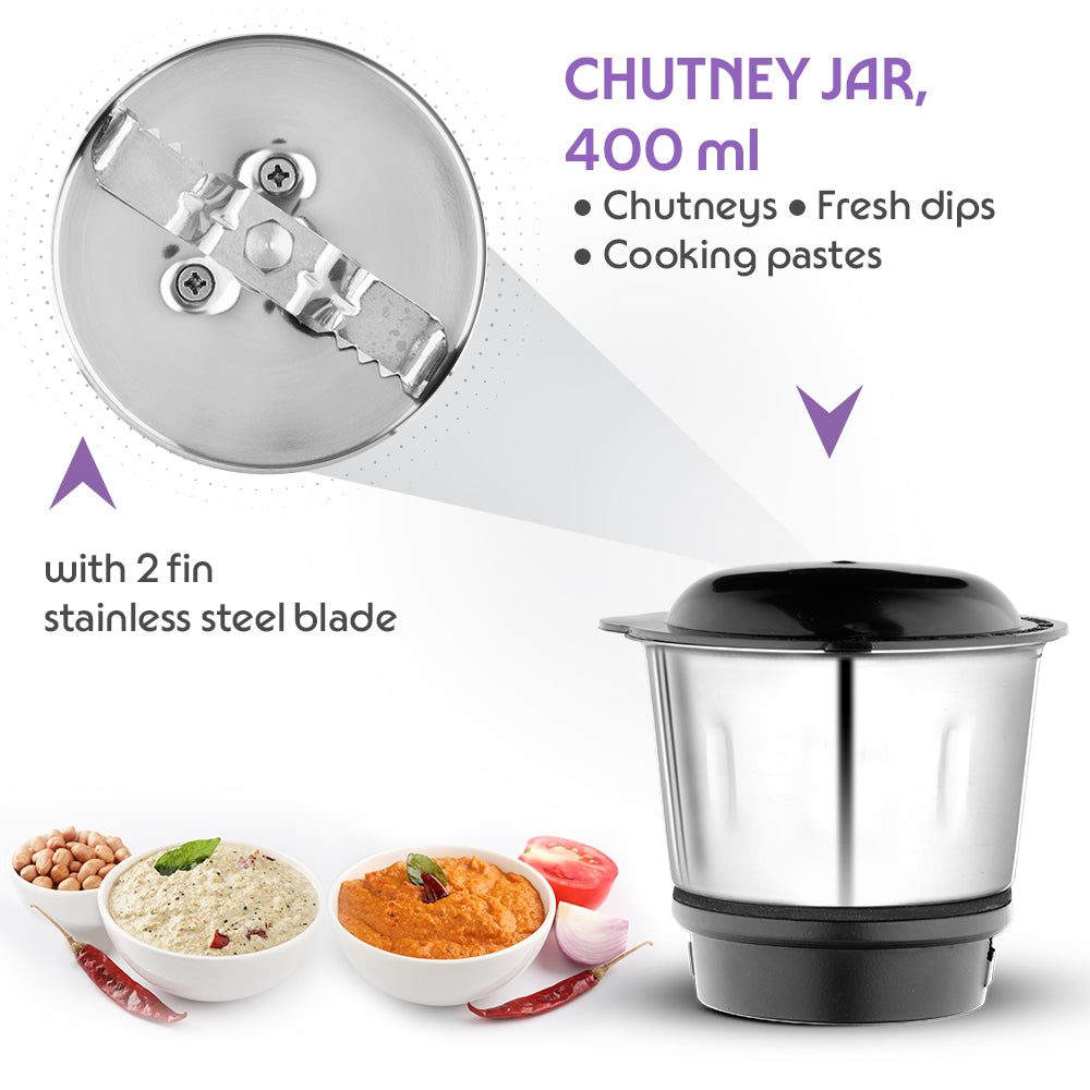 Borosil Silverline RG 600W Mixer Grinders