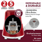 Borosil Star Mixer Grinder-Maroon