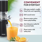 Borosil Easy Juice Cold Press Slow Juicer